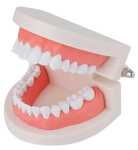 Full-Mouth-Rehabilitation